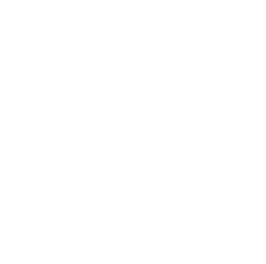 morrisson carpentry logo upscaled white